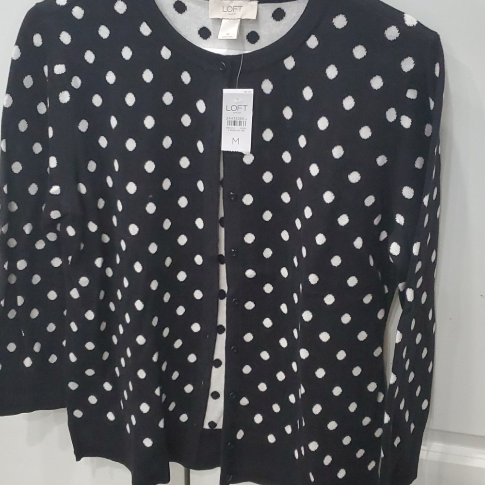 NWT loft sweater